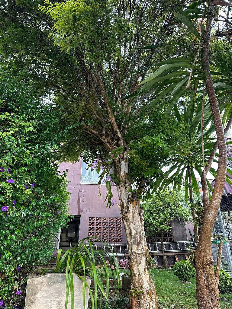 Mansão Casa Blanca em São Roque c/ 5 vagas garagem