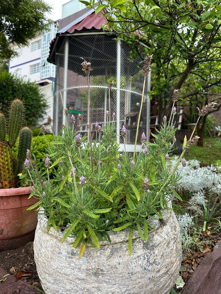Mansão Casa Blanca em São Roque c/ 5 vagas garagem